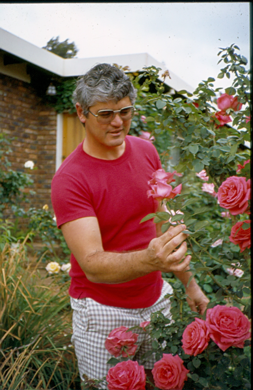 Picture of a younger Eddie with a rose