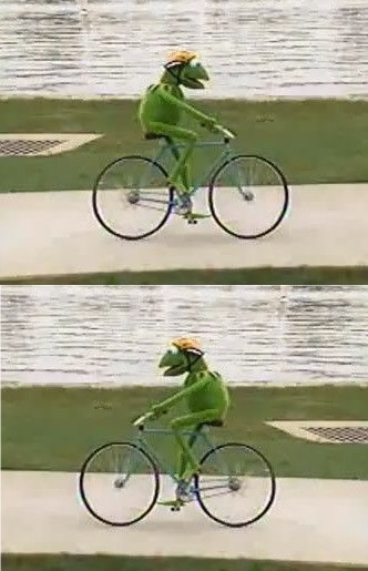 Bicycle Kermit meme
